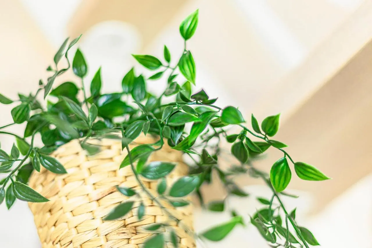 Holiday home Monolocale Romantico Le Conserve Cesenatico